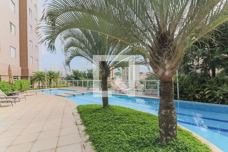 Apartamento à venda com 256m², 3 quartos e 3 vagasÁrea comum - Piscina