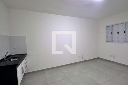 Quarto/Cozinha de kitnet/studio para alugar com 1 quarto, 36m² em Vila Palmares, Santo André