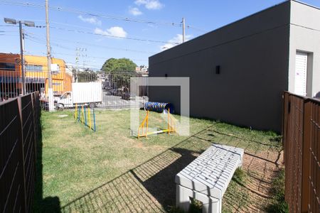 Apartamento para alugar com 37m², 2 quartos e sem vagaPet Place