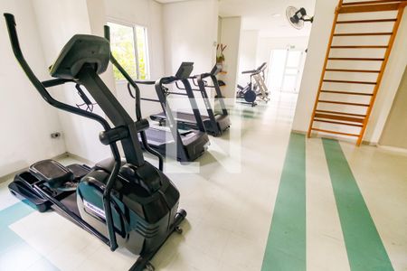 Apartamento para alugar com 56m², 2 quartos e 1 vaga Apartamento para alugar com 56m², 2 quartos e 1 vagaÁrea comum - Academia