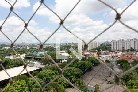 Vista da Sala de apartamento para alugar com 2 quartos, 65m² em Parque São Jorge, São Paulo