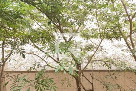 Apartamento para alugar com 46m², 2 quartos e 1 vaga Apartamento para alugar com 46m², 2 quartos e 1 vagaVista do Quarto 2