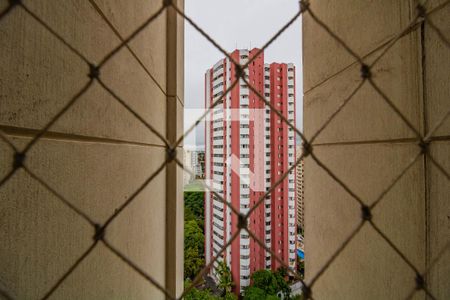 Apartamento para alugar com 63m², 2 quartos e 2 vagasVista da área de serviço