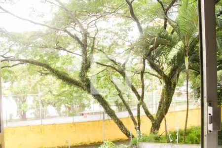 Casa à venda com 230m², 4 quartos e 3 vagasVista da Sala