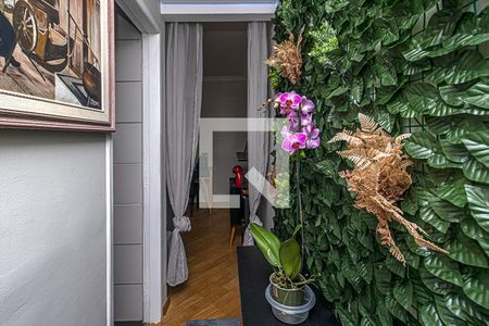 Corredor da sala de apartamento para alugar com 1 quarto, 45m² em Cambuci, São Paulo