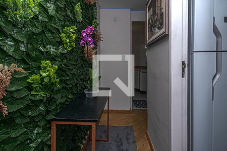 Corredor da sala de apartamento para alugar com 1 quarto, 45m² em Cambuci, São Paulo