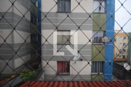 Vista do Quarto 1 de apartamento à venda com 3 quartos, 78m² em Jaqueline, Belo Horizonte
