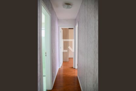 Corredor de apartamento para alugar com 2 quartos, 47m² em Sacomã, São Paulo