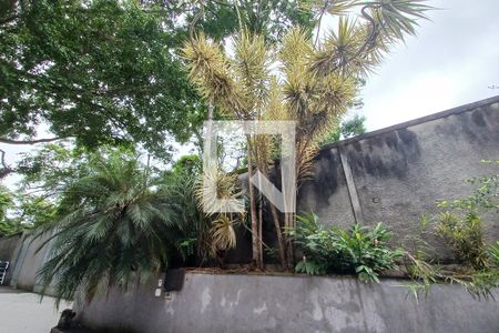 Casa à venda com 550m², 3 quartos e 2 vagas Casa à venda com 550m², 3 quartos e 2 vagasQuintal