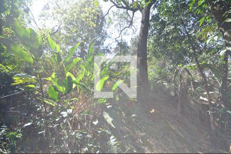 Casa para alugar com 294m², 3 quartos e 9 vagasÁrea verde