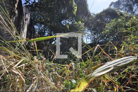 Casa para alugar com 294m², 3 quartos e 9 vagasÁrea verde