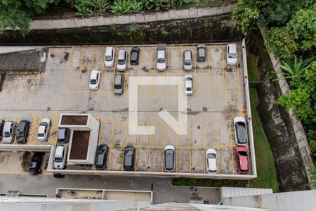 Vista de apartamento para alugar com 2 quartos, 53m² em Jardim Íris, São Paulo