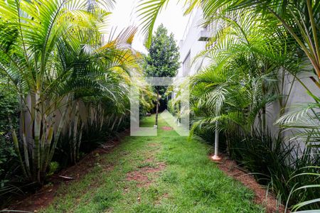 Apartamento à venda com 60m², 2 quartos e 1 vaga Apartamento à venda com 60m², 2 quartos e 1 vagaÁrea comum - Pet place