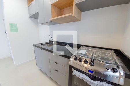 Apartamento para alugar com 45m², 1 quarto e 1 vagaCozinha