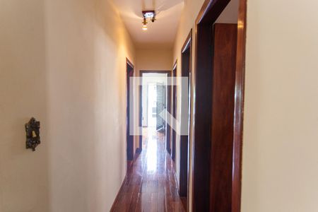 Corredor de apartamento para alugar com 4 quartos, 120m² em Colégio Batista, Belo Horizonte