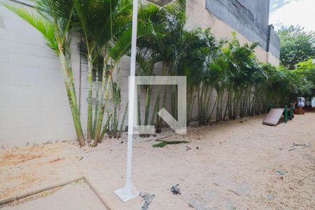 Pet Place de apartamento para alugar com 1 quarto, 40m² em Brás, São Paulo