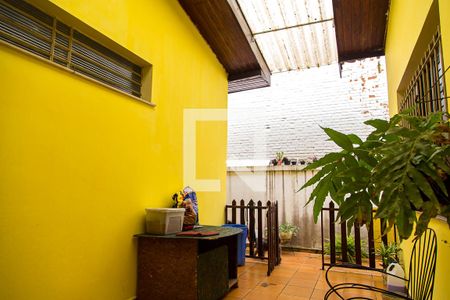 Casa à venda com 270m², 4 quartos e 7 vagas Casa à venda com 270m², 4 quartos e 7 vagasQuintal