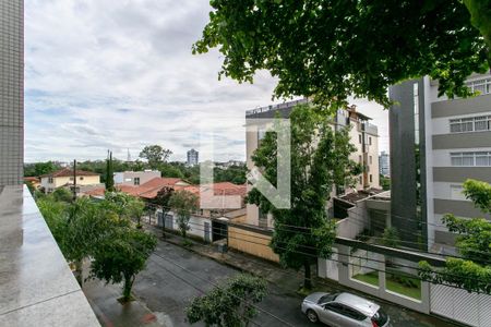 Varanda da Sala de apartamento para alugar com 4 quartos, 163m² em Itapoã, Belo Horizonte