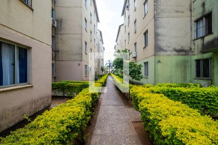 Área comum de apartamento à venda com 2 quartos, 40m² em Vila Nova, Porto Alegre