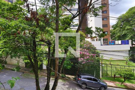 Vista da Sala de apartamento para alugar com 2 quartos, 63m² em Santo Antônio, Belo Horizonte