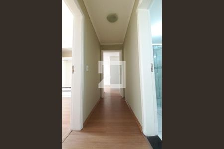 Corredor de apartamento para alugar com 2 quartos, 54m² em Vila Nova, Campinas