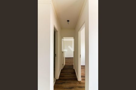 Corredor de apartamento para alugar com 2 quartos, 42m² em Vila Nova Cachoeirinha, São Paulo