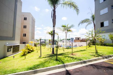 Apartamento para alugar com 42m², 2 quartos e 1 vagaJardim