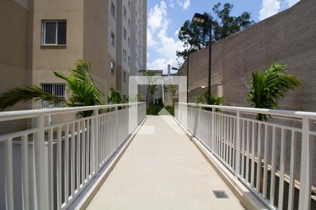 Área comum de apartamento para alugar com 2 quartos, 32m² em Itaquera, São Paulo