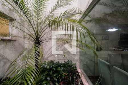 Sala - Jardim de Inverno  de casa à venda com 3 quartos, 160m² em Vila Granada, São Paulo