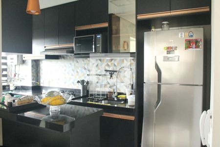 Cozinha de apartamento à venda com 2 quartos, 45m² em Jardim do Lago Continuação, Campinas