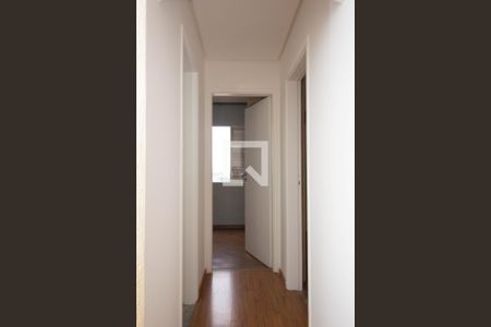 Corredor de apartamento para alugar com 2 quartos, 53m² em Vila Bruna, São Paulo