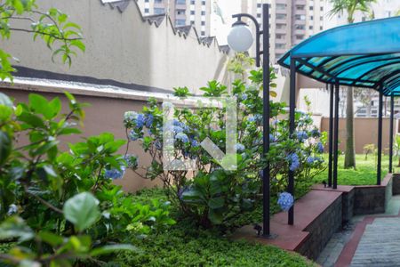 Apartamento à venda com 78m², 3 quartos e 1 vagaJardim