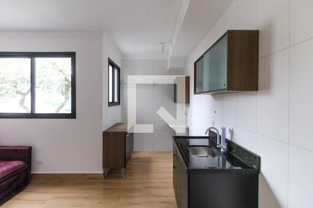 Cozinha de apartamento à venda com 2 quartos, 43m² em Parque da Vila Prudente, São Paulo