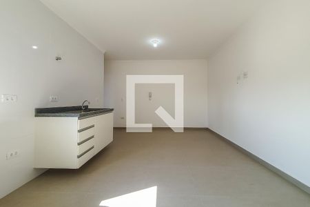 Cozinha Sala A Serviço de apartamento para alugar com 1 quarto, 34m² em Ipiranga, São Paulo