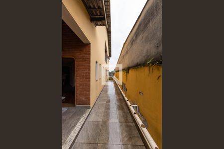 Casa à venda com 382m², 3 quartos e 6 vagasQuintal