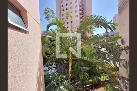 Vista da Sala de apartamento para alugar com 2 quartos, 49m² em Vila Constança, São Paulo