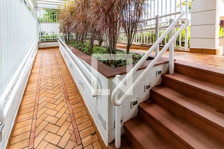 Apartamento para alugar com 87m², 3 quartos e 2 vagas Apartamento para alugar com 87m², 3 quartos e 2 vagasRampas de Acesso