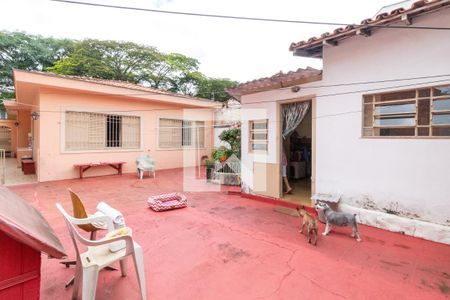 Casa à venda com 372m², 3 quartos e sem vagaQuintal