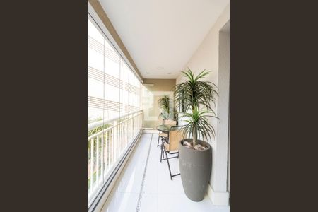 Varanda da Sala de apartamento para alugar com 3 quartos, 74m² em Mooca, São Paulo