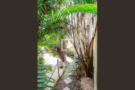 Casa à venda com 185m², 4 quartos e 3 vagasJardim