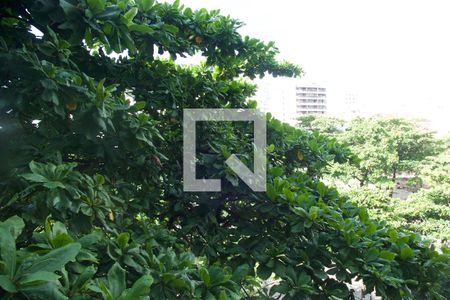 Apartamento à venda com 164m², 3 quartos e 2 vagasSala vista 