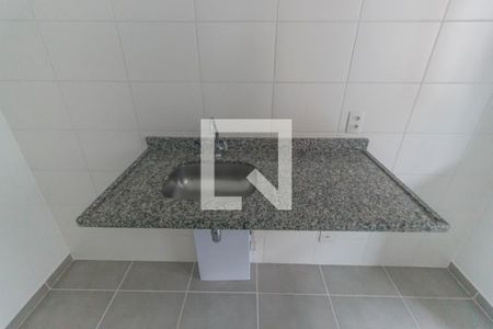 Apartamento para alugar com 52m², 2 quartos e 1 vagaDetalhe da cozinha