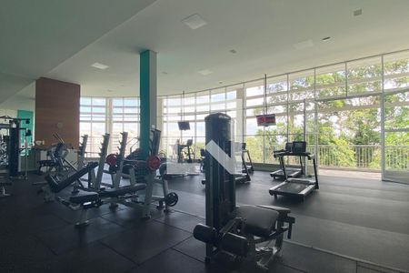 Apartamento à venda com 224m², 3 quartos e 3 vagasAcademia