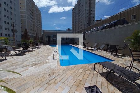 Área comum - Piscina de apartamento para alugar com 2 quartos, 50m² em Jardim Nova Europa, Campinas