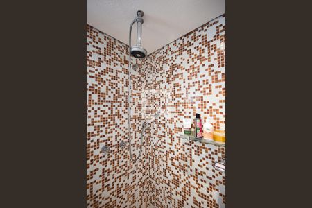 Apartamento para alugar com 220m², 5 quartos e 4 vagasChuveiro do banheiro da suíte 4