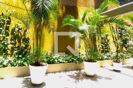 Apartamento para alugar com 95m², 3 quartos e 1 vaga Apartamento para alugar com 95m², 3 quartos e 1 vagaJardim