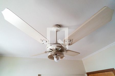 Apartamento à venda com 52m², 2 quartos e 1 vagaQuarto 2 Detalhe