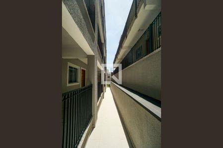 Corredor externo de apartamento para alugar com 1 quarto, 39m² em Vila Esperança, São Paulo