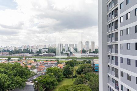 Apartamento para alugar com 46m², 2 quartos e 1 vagaVista da Lavanderia