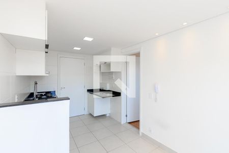 Sala/Cozinha de apartamento para alugar com 1 quarto, 28m² em Vila das Belezas, São Paulo